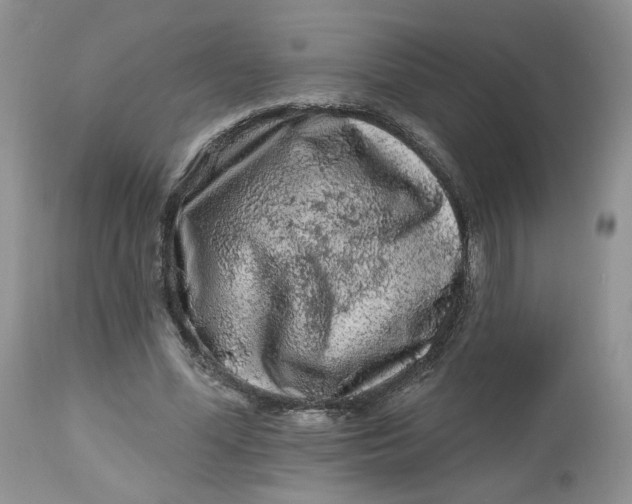 X0000112800588200909111238