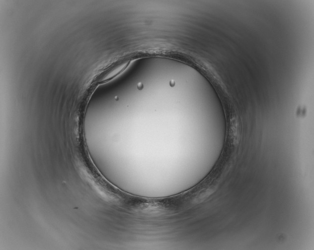 X0000112800589200909111238