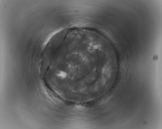 X0000112800592200909111238