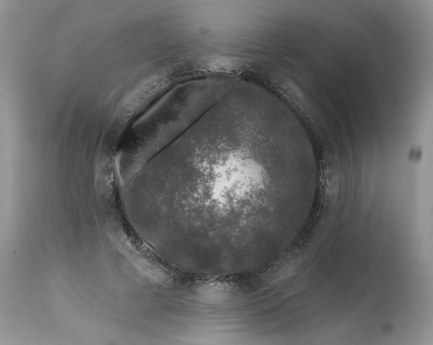 X0000112800593200909111238