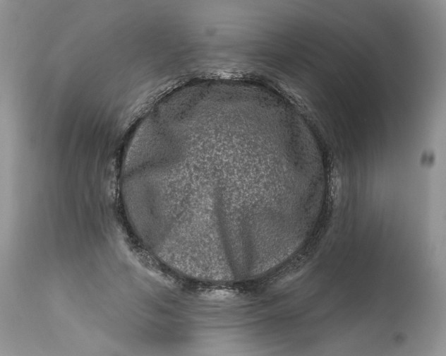 X0000112800594200909111238