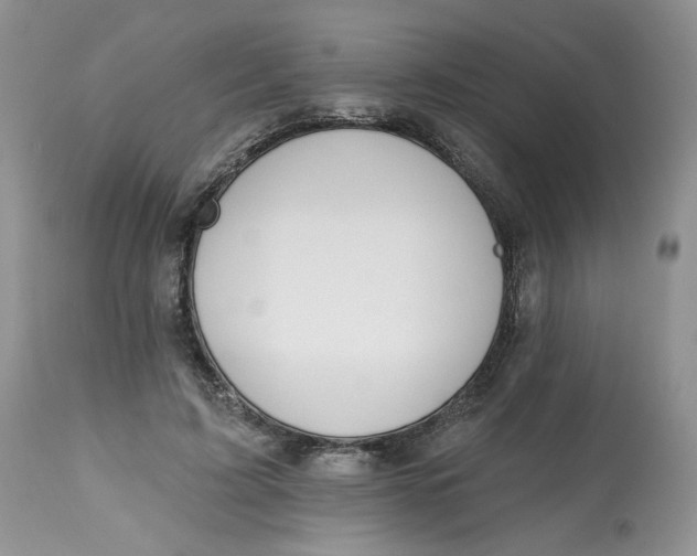 X0000112800595200909111238