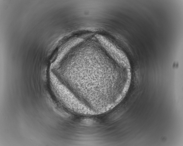 X0000112800596200909111238