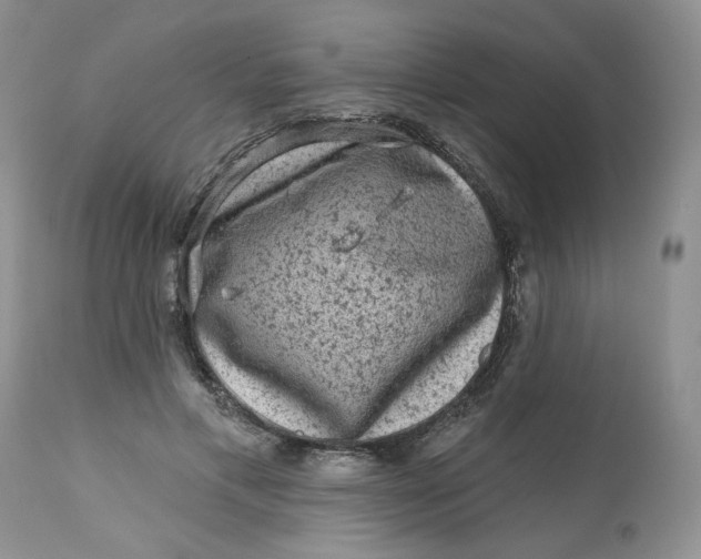 X0000112800597200909111237