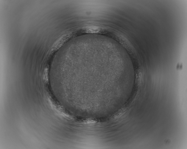 X0000112800598200909111237