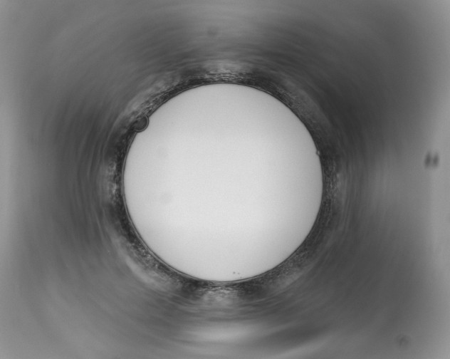 X0000112800599200909111237