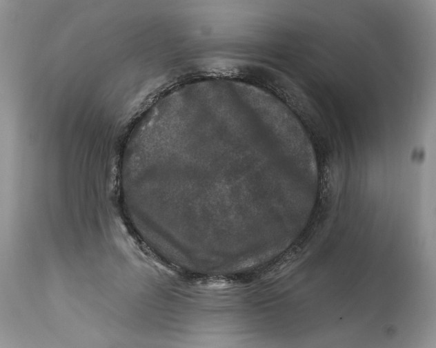 X0000112800600200909111237