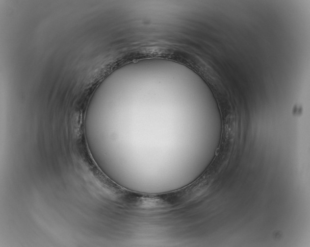 X0000112800605200909111237