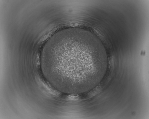 X0000112800606200909111237