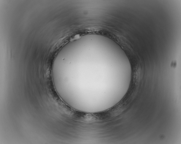 X0000112800608200909111237