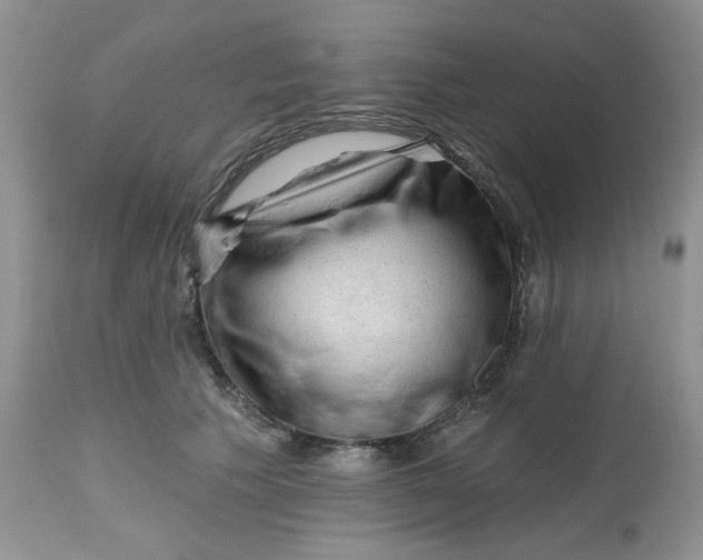 X0000112800609200909111237