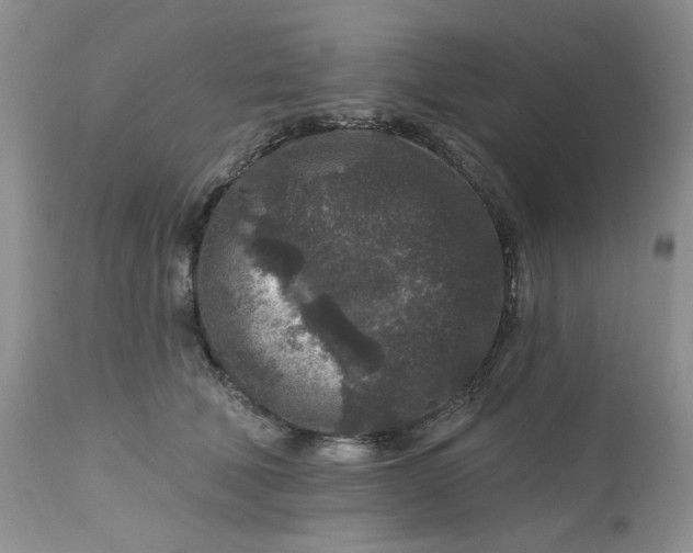 X0000112800610200909111237