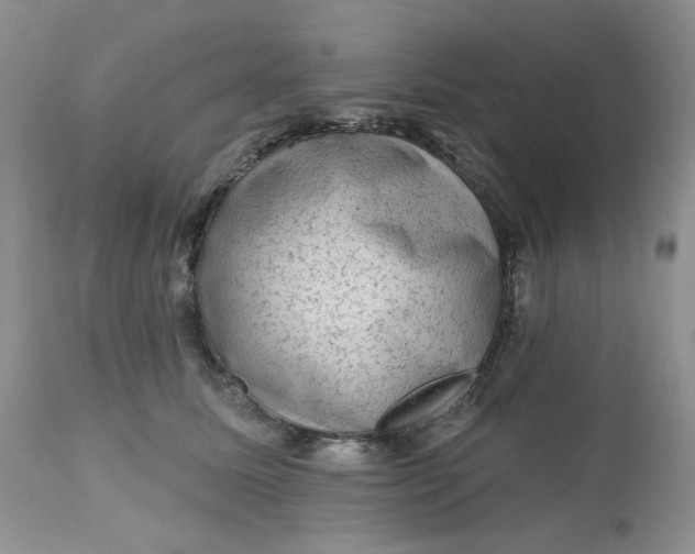 X0000112800611200909111237