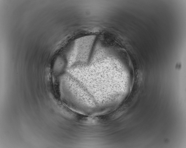 X0000112800612200909111237