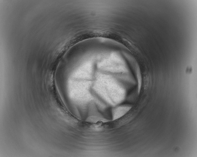 X0000112800613200909111237