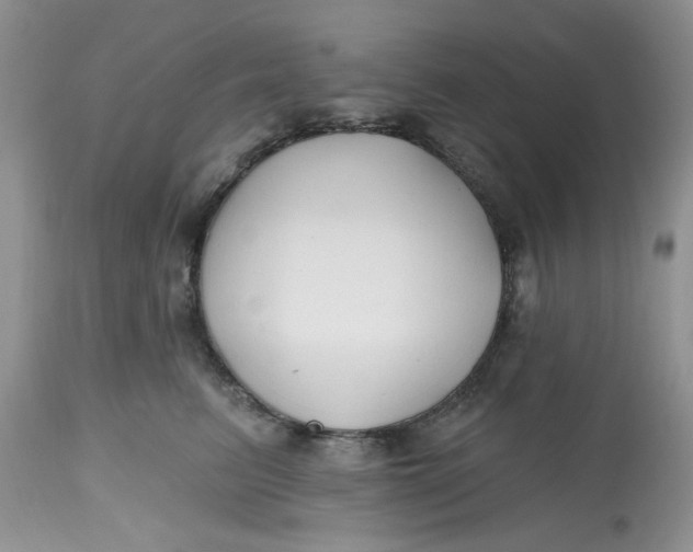 X0000112800615200909111237