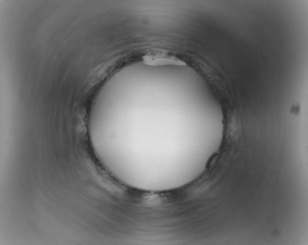 X0000112800616200909111237