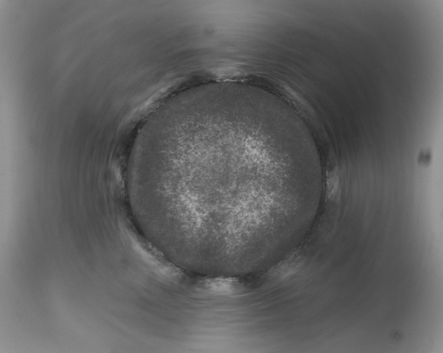 X0000112800618200909111237