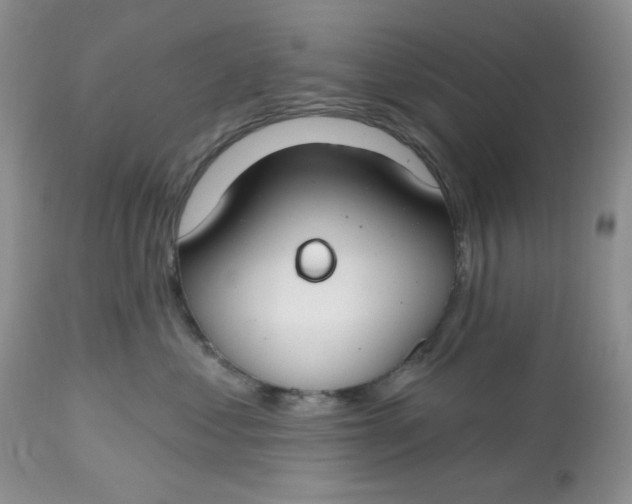 X0000112800621200909111237