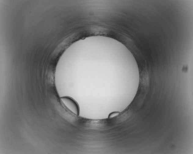 X0000112800622200909111237