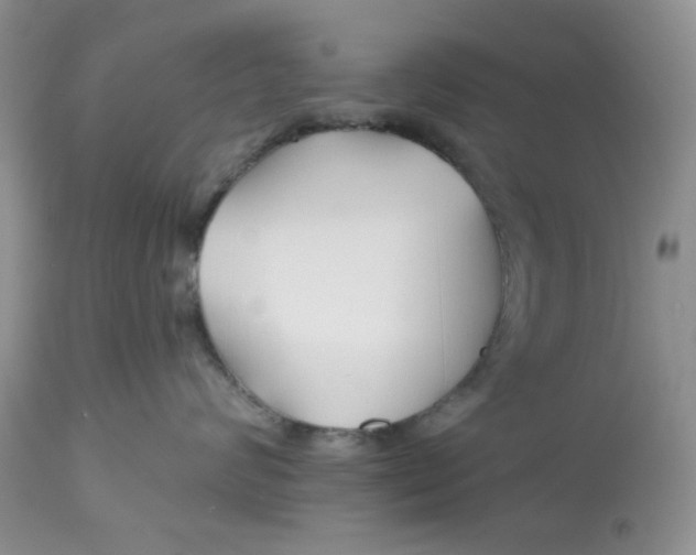 X0000112800624200909111237