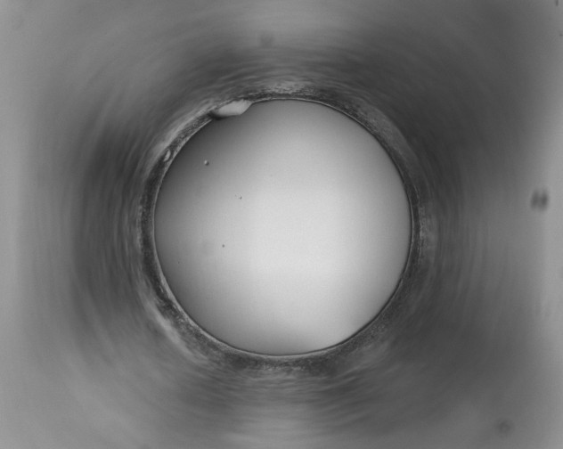 X0000112800626200909111236