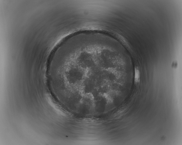 X0000112800627200909111236