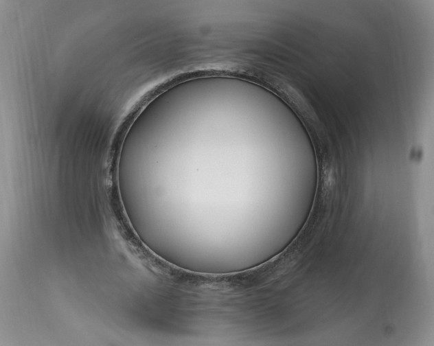 X0000112800628200909111236