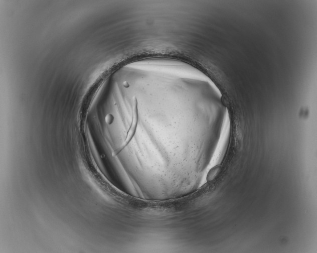 X0000112800630200909111236