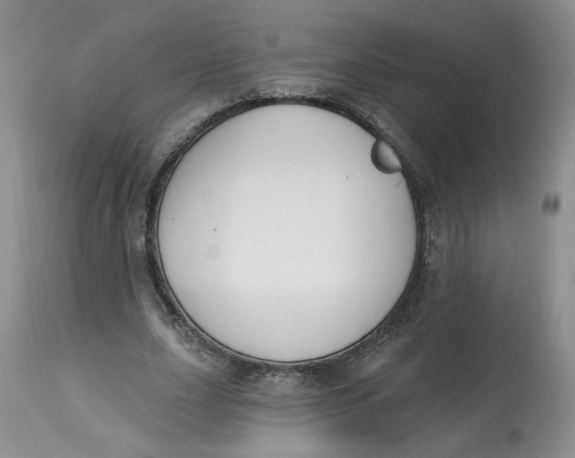 X0000112800631200909111236