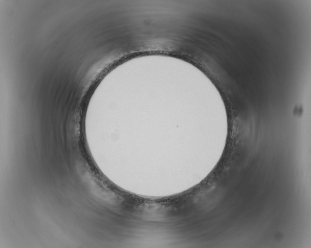 X0000112800632200909111236