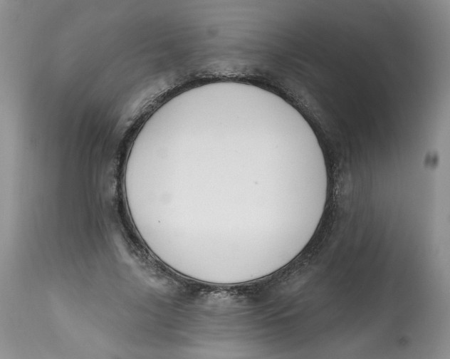 X0000112800635200909111236