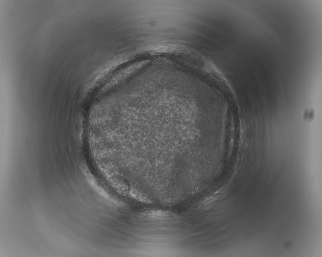 X0000112800637200909111236