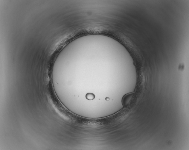 X0000112800638200909111236