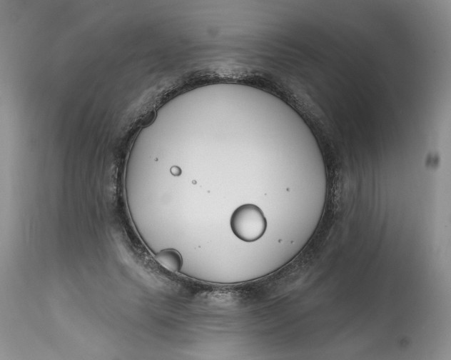 X0000112800639200909111236