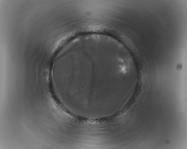 X0000112800640200909111236