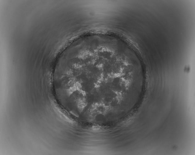 X0000112800641200909111236