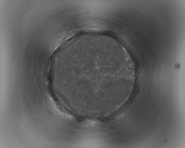 X0000112800642200909111236