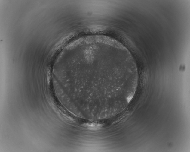 X0000112800644200909111236