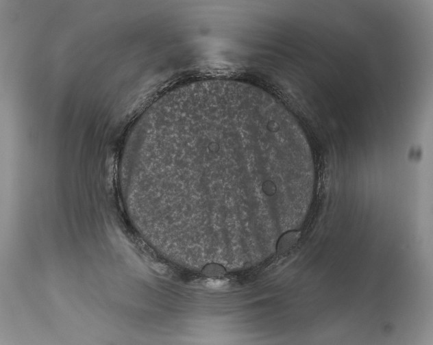 X0000112800647200909111236