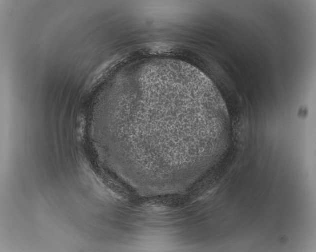 X0000112800648200909111236