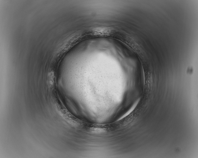 X0000112800649200909111236