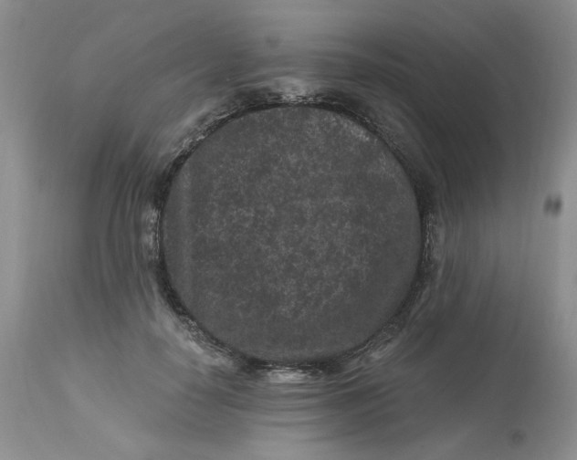 X0000112800650200909111236