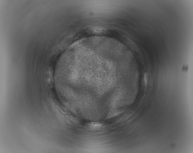 X0000112800651200909111237