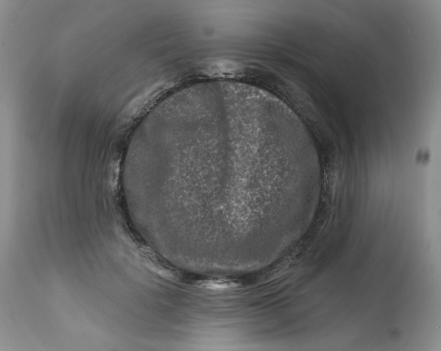 X0000112800652200909111237