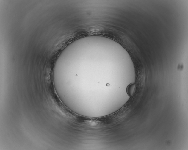 X0000112800654200909111237