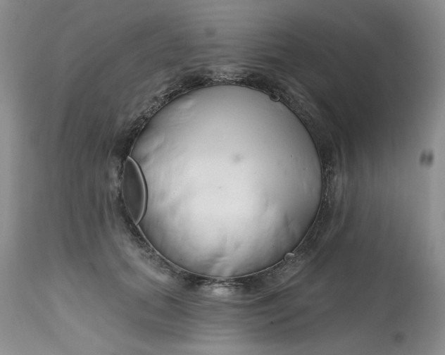 X0000112800655200909111237