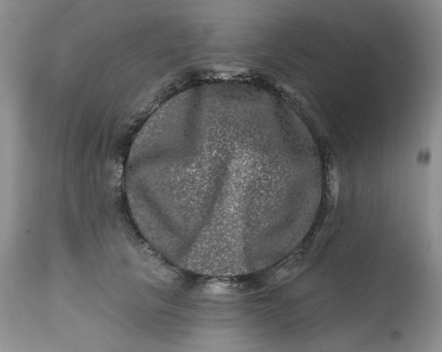 X0000112800657200909111237