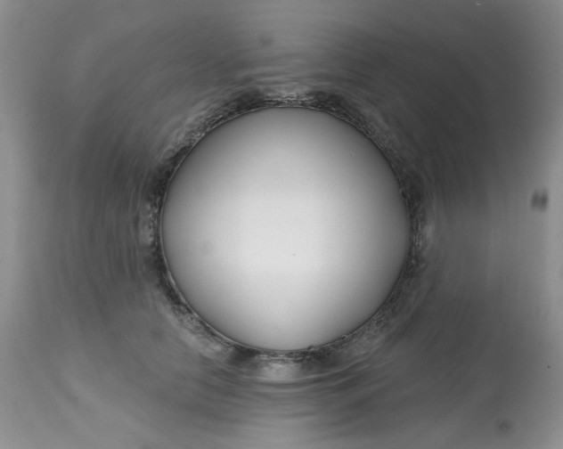 X0000112800658200909111237