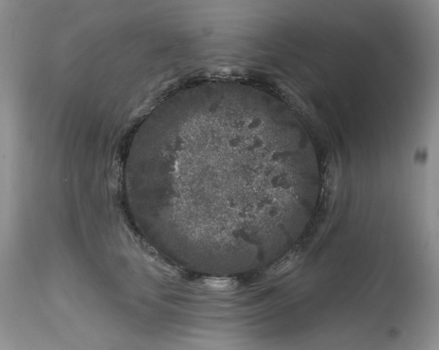 X0000112800659200909111237